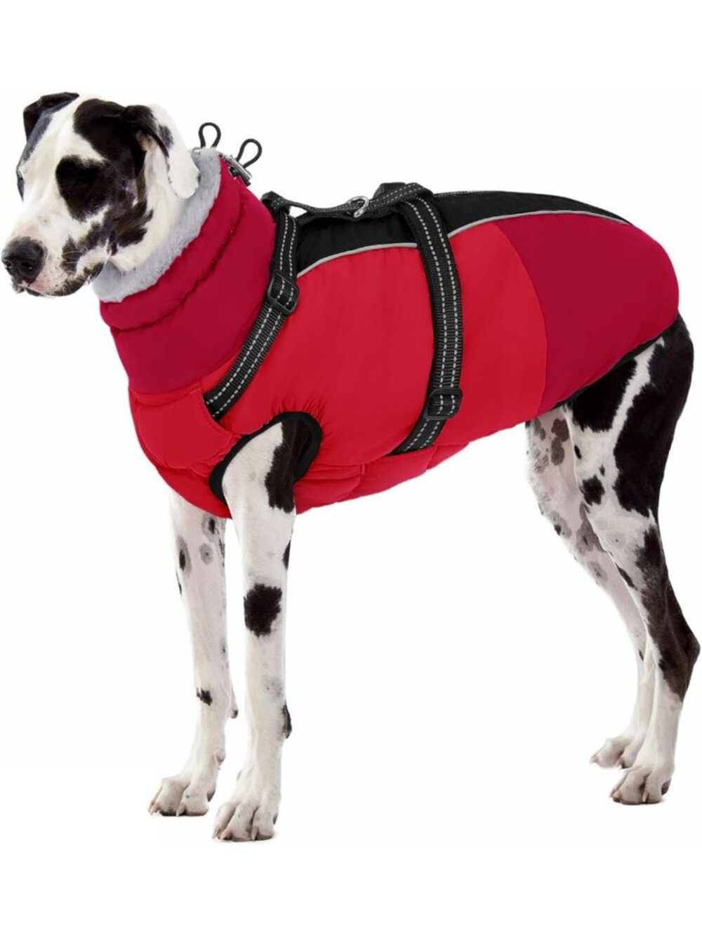 XXXL Dog Coat with Built-in Harness | Warm Waterproof Jacket for Large Dogs